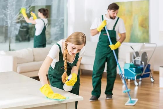 Cleaning Company Al Ain