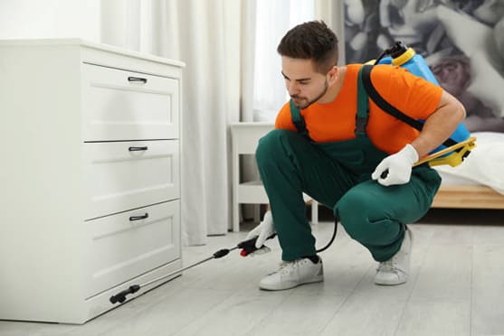 Pest Control Abudhabi