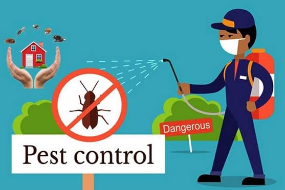 Pest Control Abudhabi