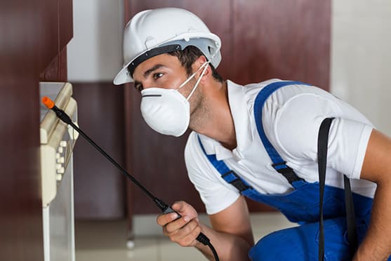 Pest Control Abudhabi