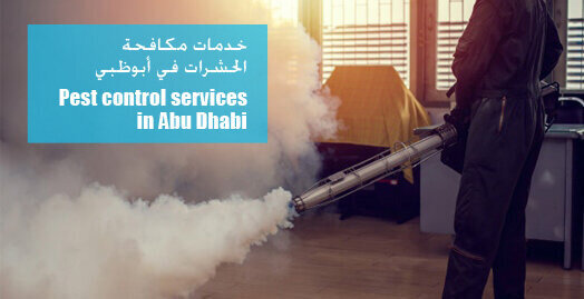 Pest control services in Abu Dhabi